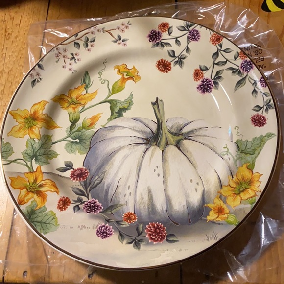 Pottery Barn Botanical Harvest Pumpkin Stoneware Set of Four Salad plates - Picture 4 of 16